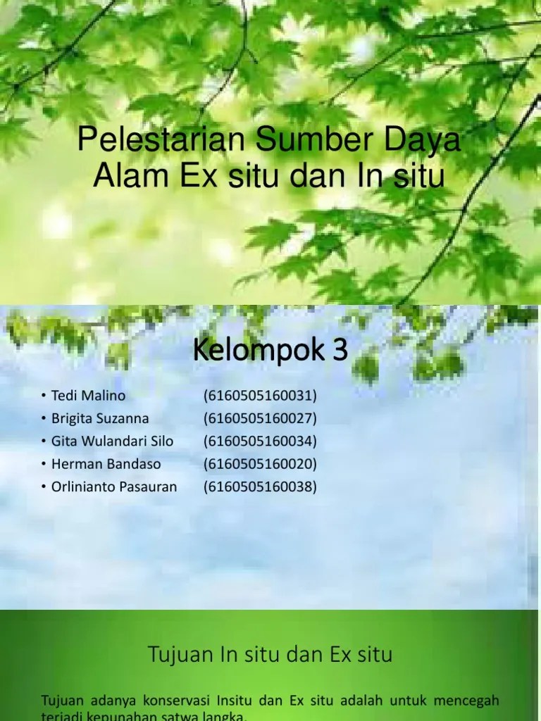 Pelestarian Sumber Daya Alam Ex Situ Dan Insitu | PDF