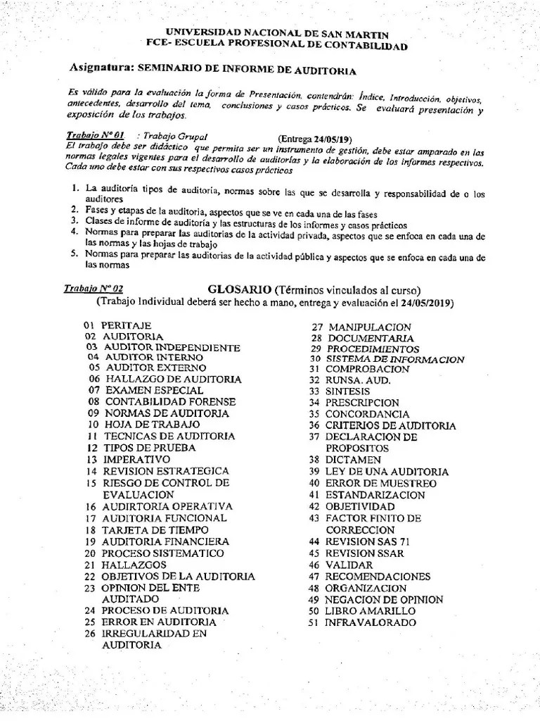 Seminario De Informe De Auditoria | PDF