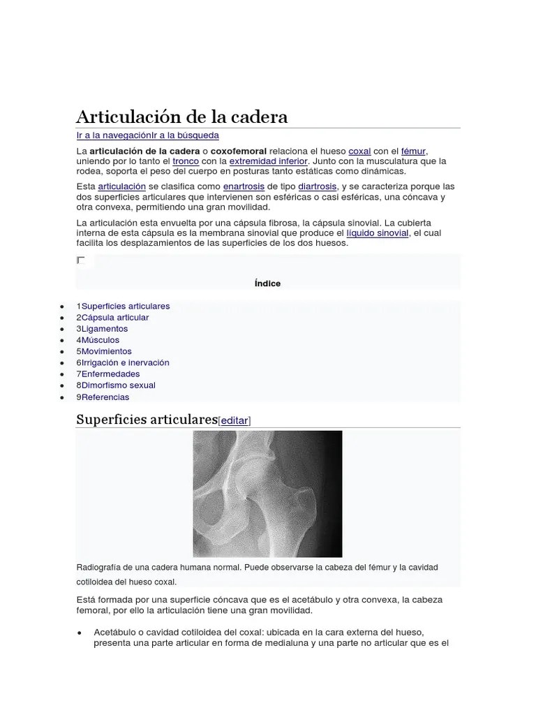 Articulación De La Cadera | PDF | Cadera | Anatomía Del Miembro Inferior