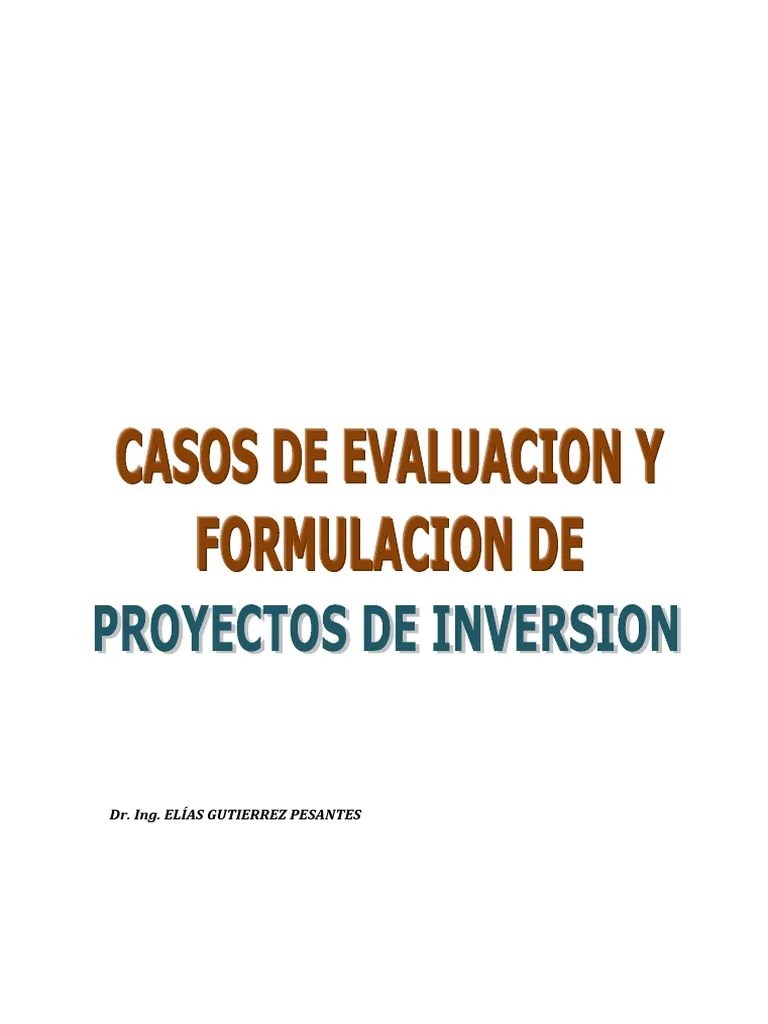 Libro Formulacion Y Evaluacion De Proyectos De Inversion | PDF | Investigación De Mercado ...