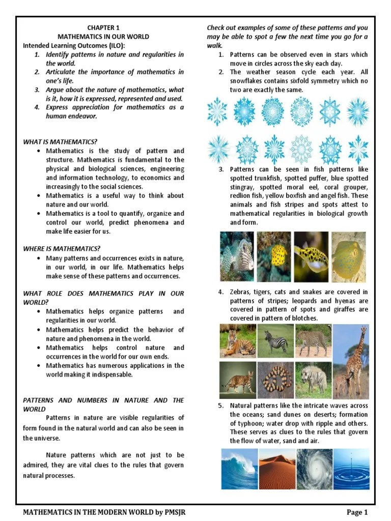 Gmath Docx Mathematics Helps Anize Patterns And Regularities In The World In The Animal World Humans Including Symmetrical Animals Are Regarded As Course Hero 
