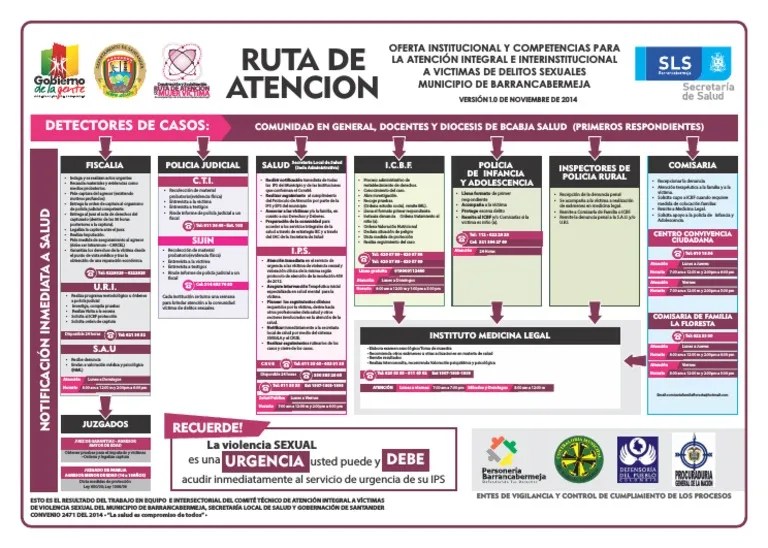 Ruta De Atención Integral A Víctimas De Violencia Sexual En Barrancabermeja | PDF | Policía ...
