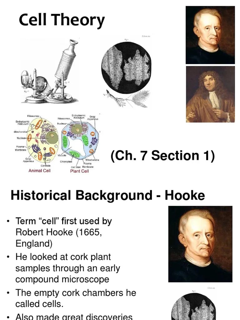 Cell Theory: (Ch. 7 Section 1) | PDF | Cell (Biology) | Transmission ...