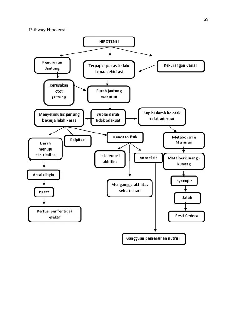 Pathway Hipotensi | PDF