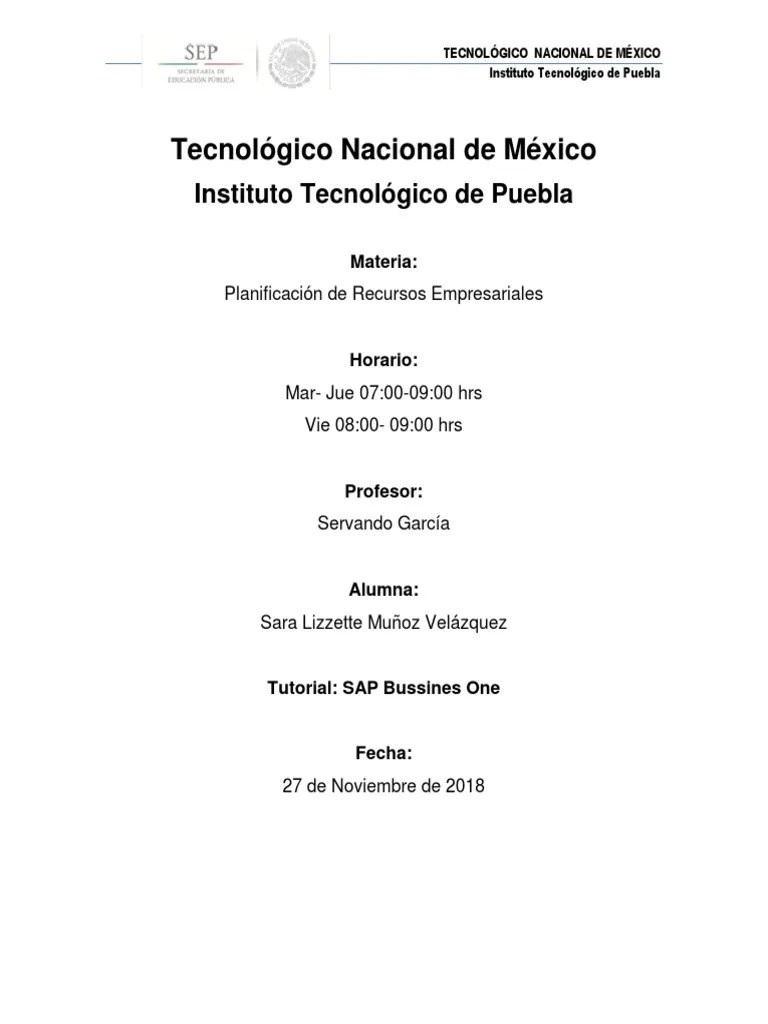 Manual SAP Business One Básico | PDF | Planificación De Recursos ...