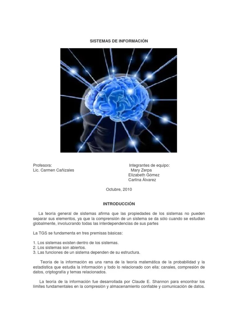 Sistemas De Información | PDF | Bases De Datos | Planificación