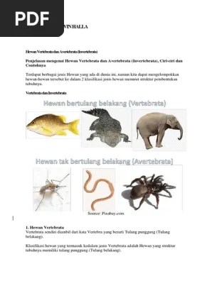 Invertebrata adalah hewan tanpa tulang punggung atau tulang belakang. Hewan Vertebrata Dan Avertebrata Pdf