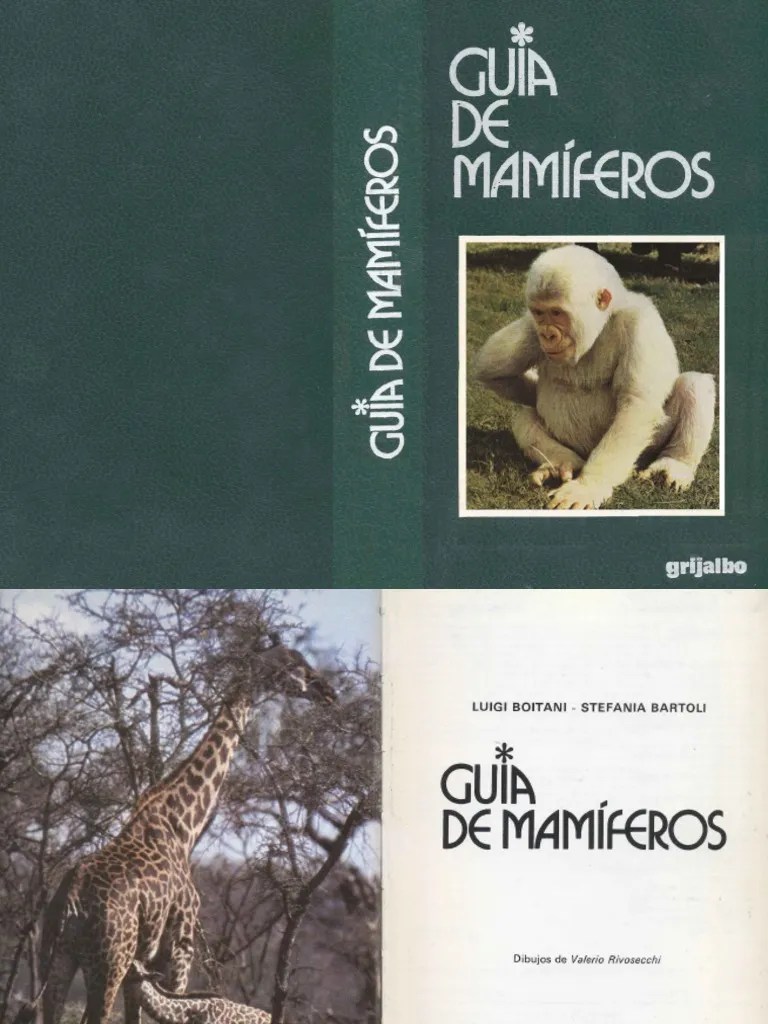 Manual Guia De Mamiferos | PDF