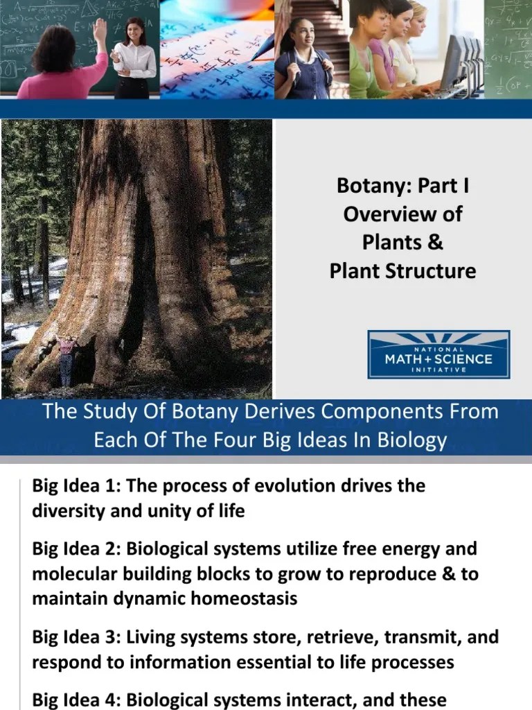 Botany Part I Plant Overview | PDF | Tissue (Biology) | Leaf