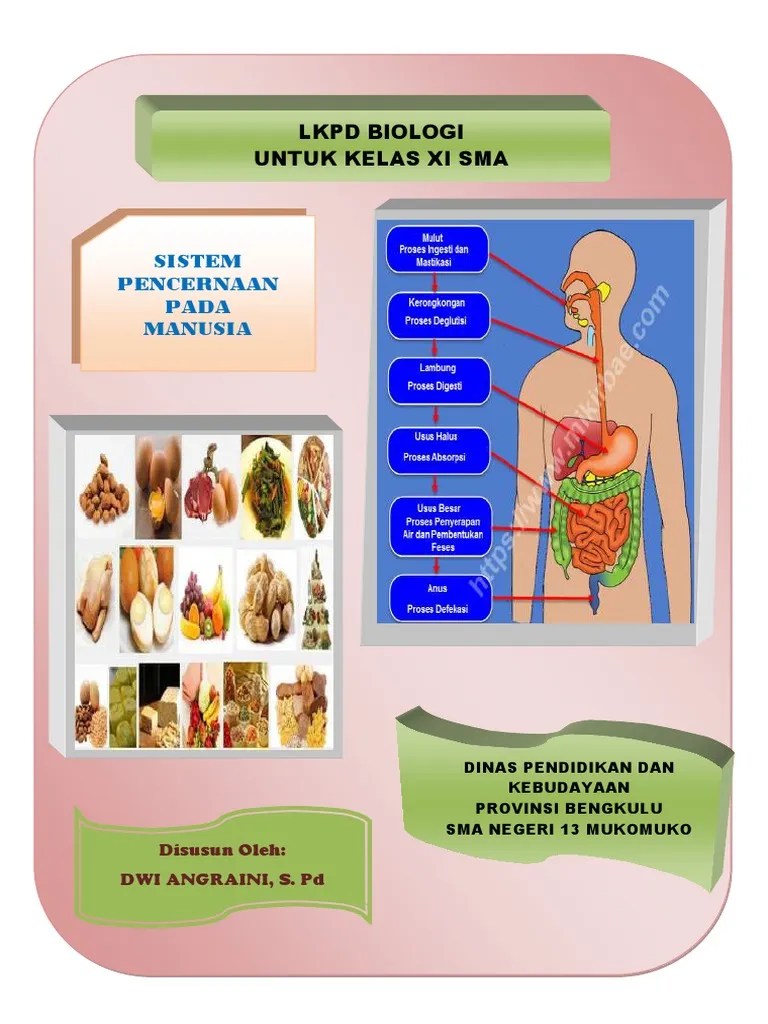 Forum tanya dan diskusi soal . Lkpd Kd 3 7 Kelas Xi Sistem Pencernaan Pdf