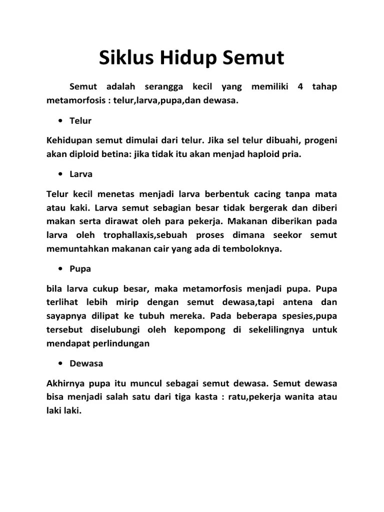 Daur HIdup Semut | PDF