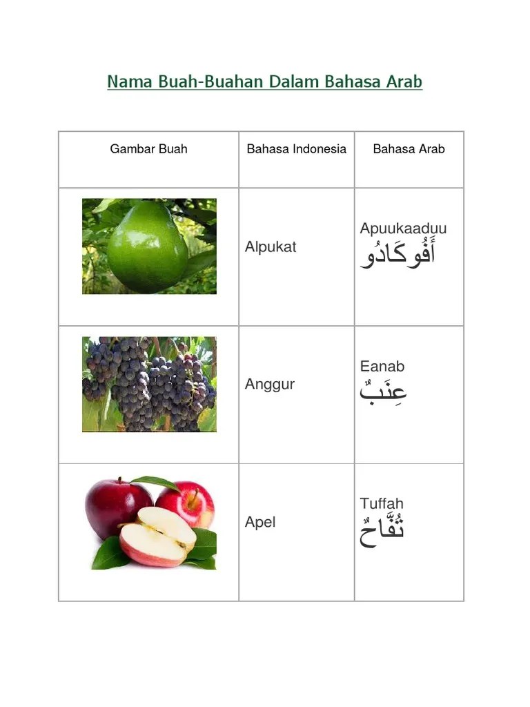 Tercepat Nama Buah Dalam Bahasa Inggris Dan Artinya
