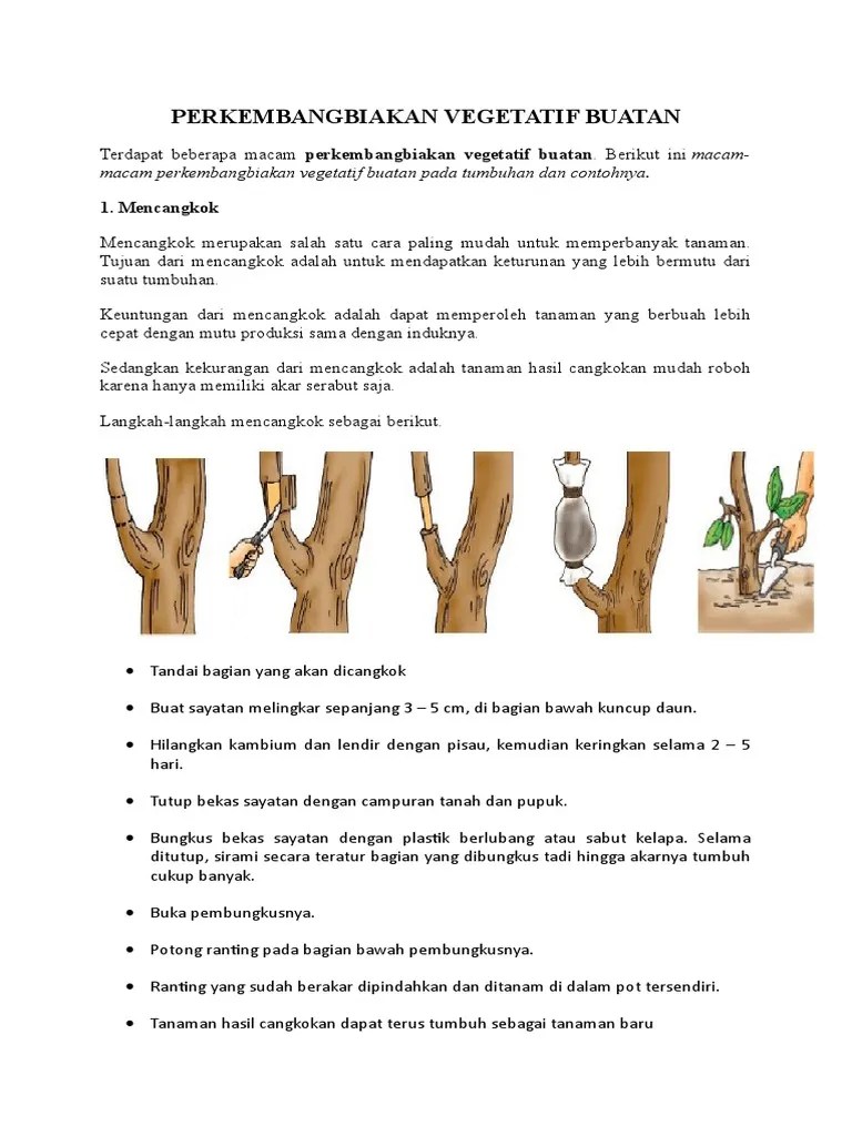 Kelebihan Perkembangbiakan Dengan Cara Mencangkok Adalah