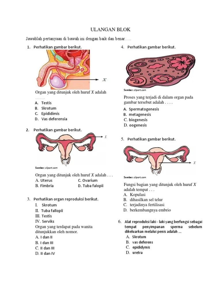 Ulangan Blok | PDF