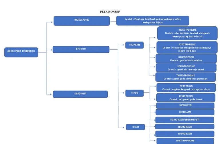 Peta Konsep Gerak Pada Tumbuhan PDF | PDF