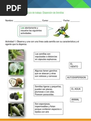 Esta última característica permite a los agricultores estimar el mejor momento y zona para vender sus cultivos con el mayor beneficio. Guia De Trabajo Dispersion De Semillas Pdf