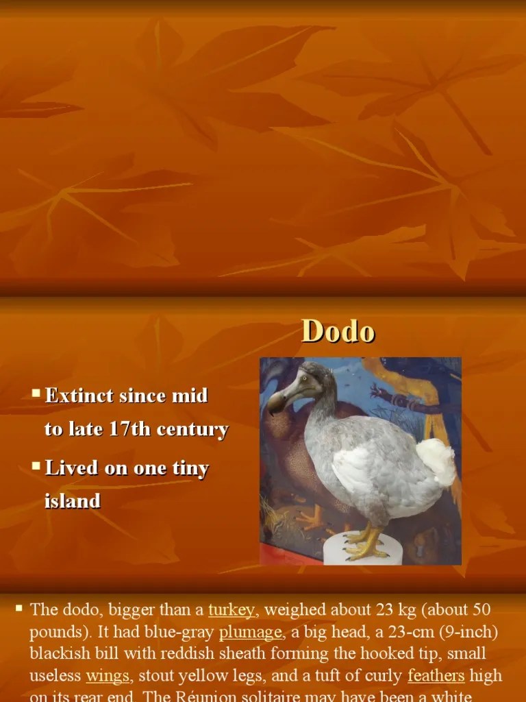 20-Endangered And Extinct Animals | PDF | Endangered Species | Bears