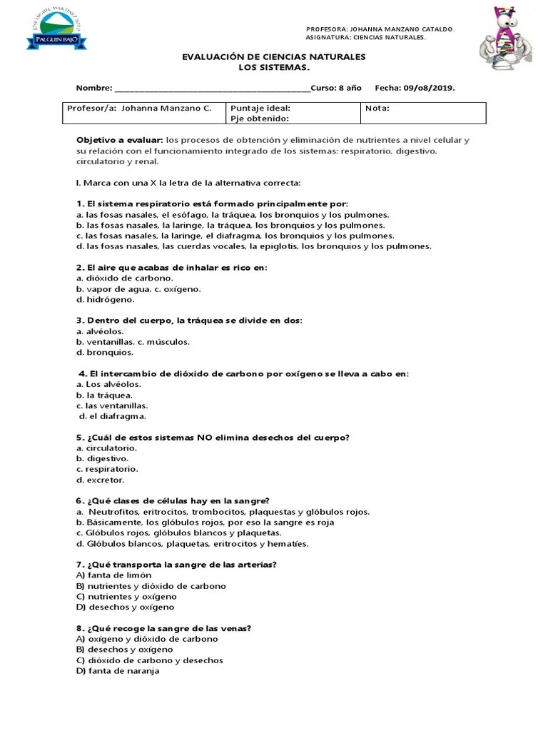 Evaluacion Sistemas Del Cuerpo Humano, 8 Año | PDF | Sangre | Artería