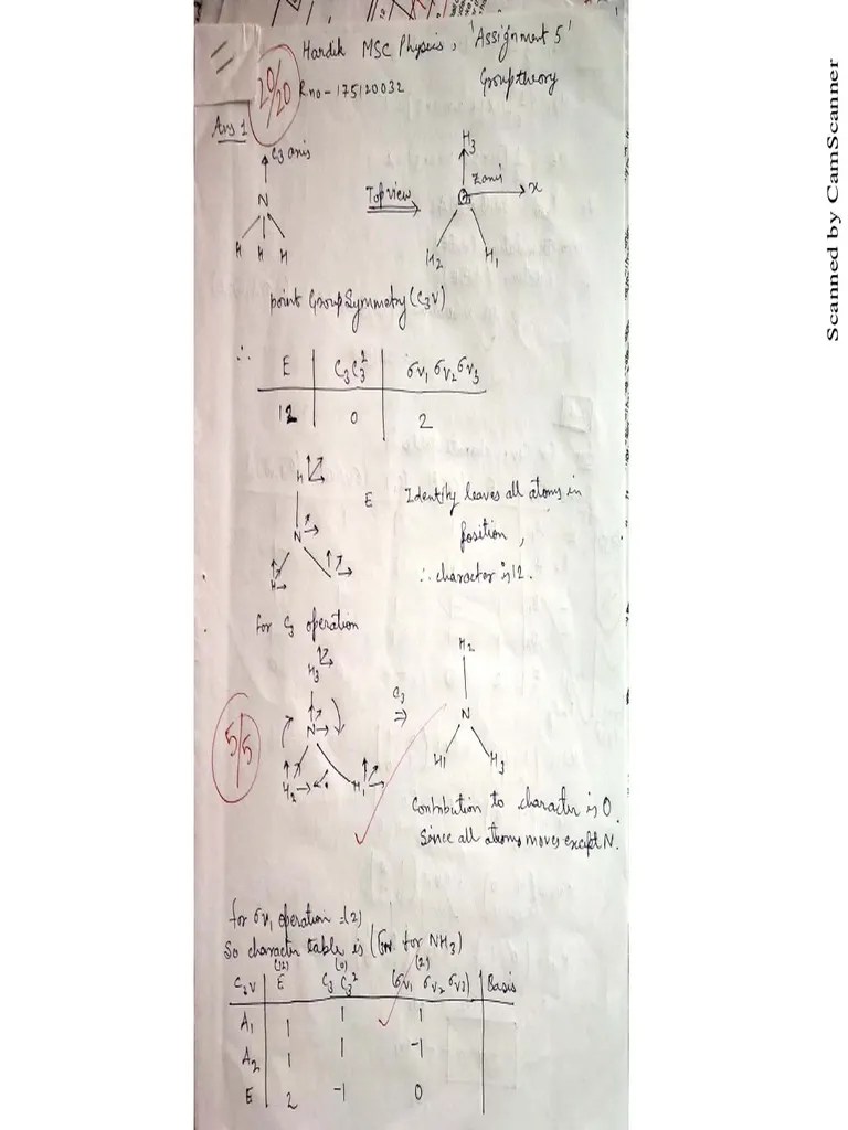Group Theory Homework Solutions | PDF