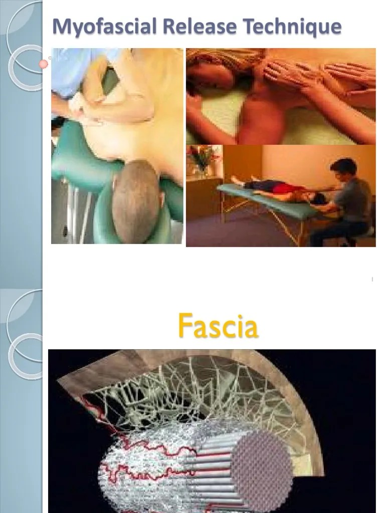 Myofascial Release Technique | PDF | Myofascial Trigger Point | Musculoskeletal System