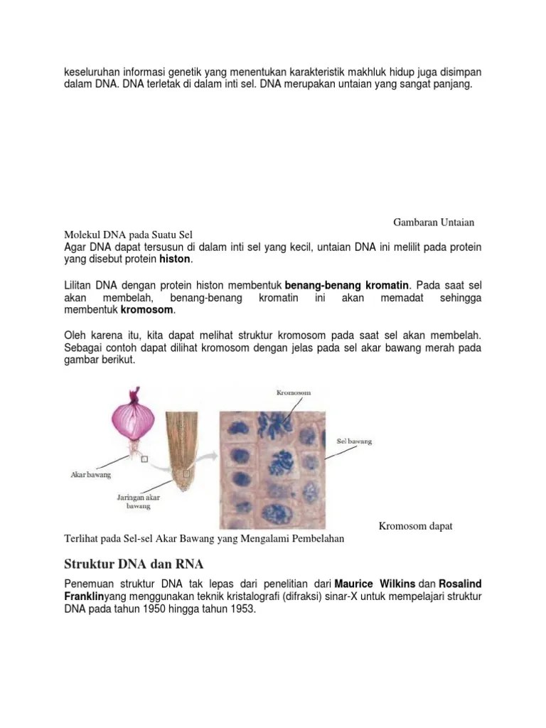 Keseluruhan Informasi Genetik Yang | PDF