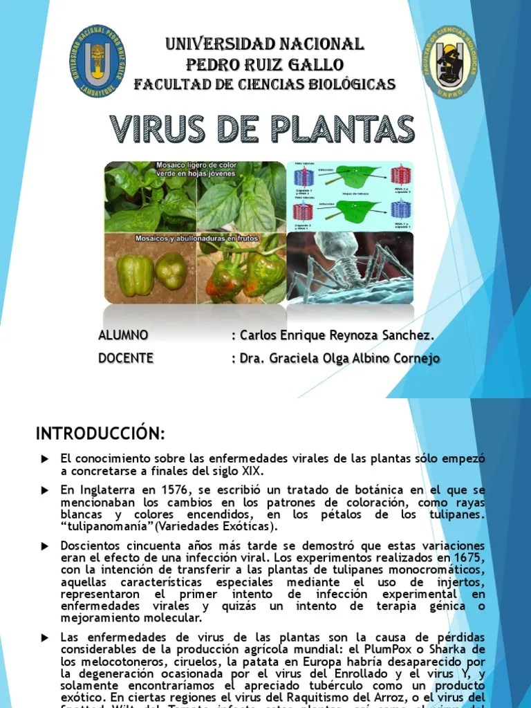 Virus De Plantas Exposición | PDF | Virus | La Transcriptasa Inversa