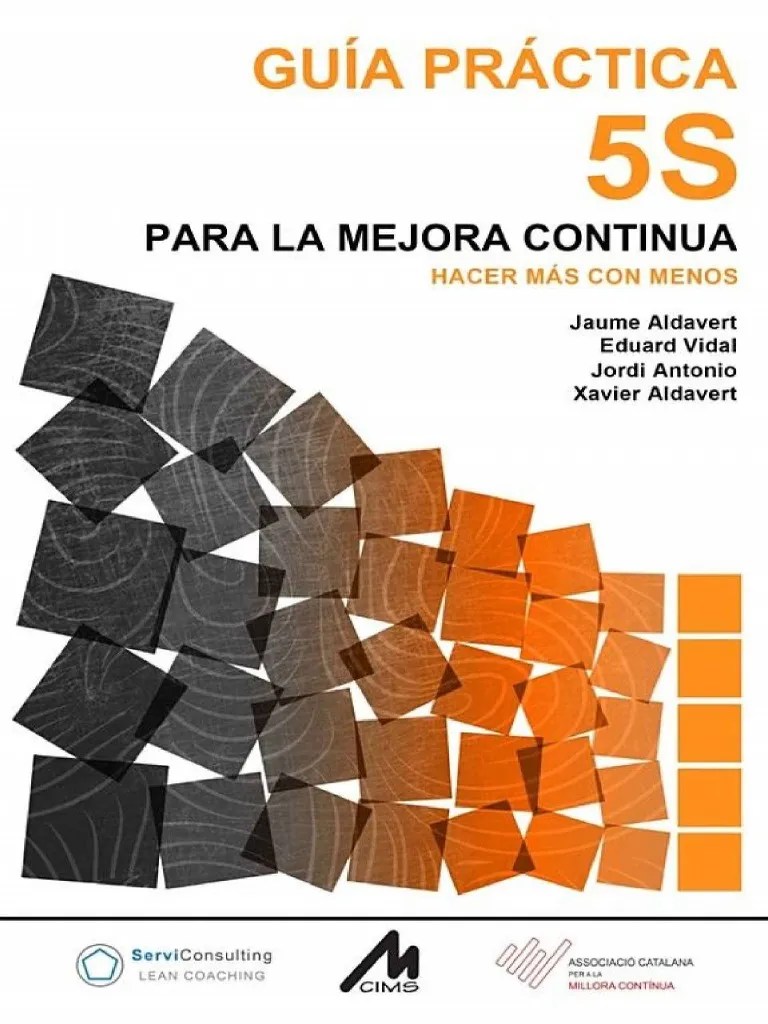Guía Práctica 5S Para La Mejora Continua | PDF