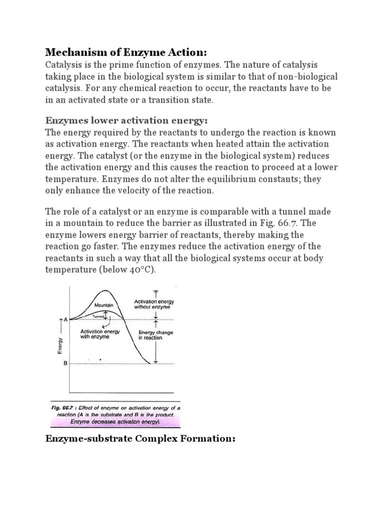 Mechanism Of Enzyme Action | PDF | Active Site | Enzyme