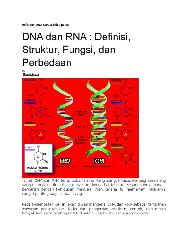 Referensi DNA RNA Sudah Dipakai | PDF