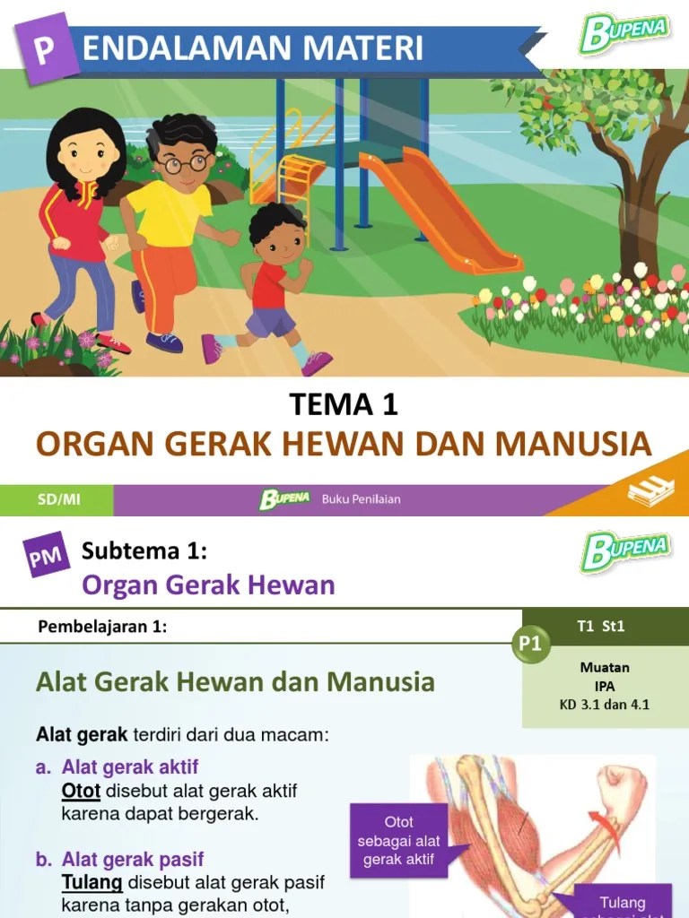 Ini merupakan latihan soal subtema 3. Bupena 5a T1 St1 Kn13n