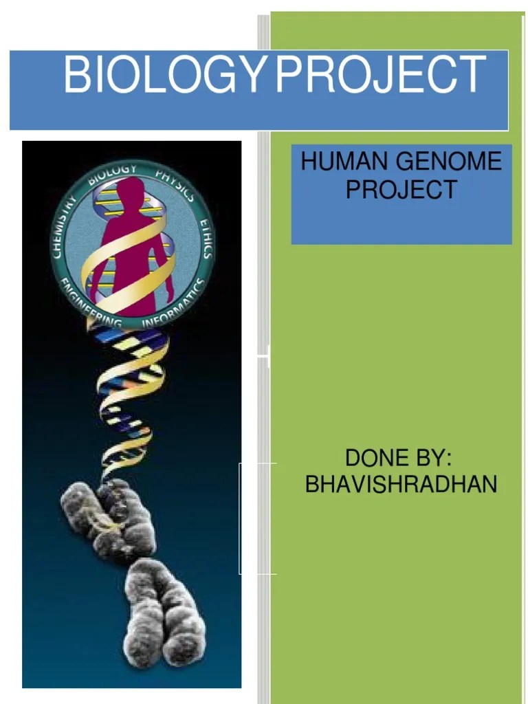 BIOLOGY Class 12 Project | PDF | Human Genome | Dna