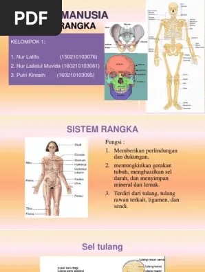 Mengatasi tulang taju pedang yang menonjol. Sistem Rangka Fix Pdf