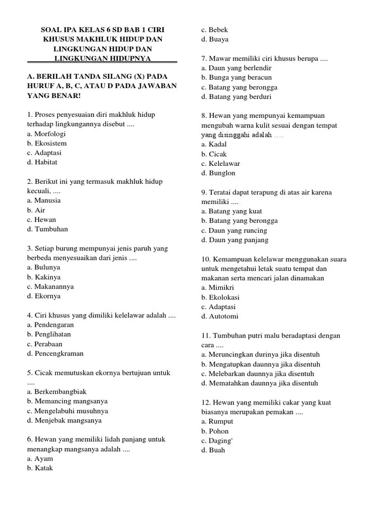 Soal Ipa Kelas 6 Bab 1 | PDF