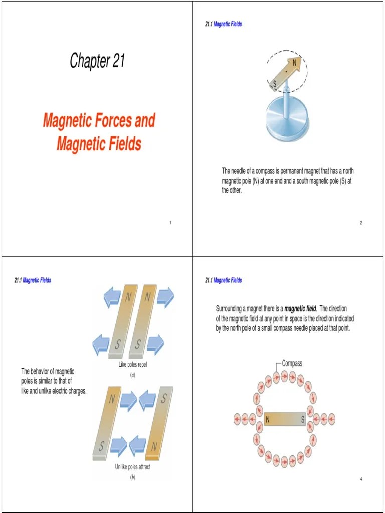 Magnetic Forces And Magnetic Fields | PDF | Magnetic Field | Torque