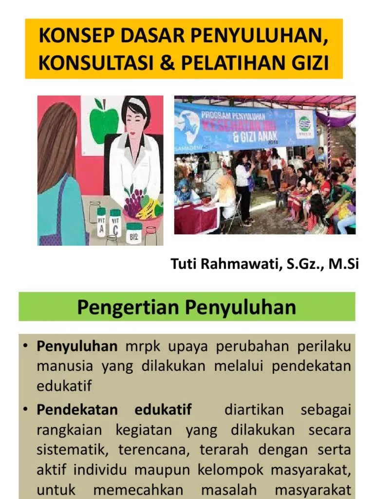 Konsep Dasar Penyuluhan, Konsultasi &amp; Pelatihan Gizi | PDF