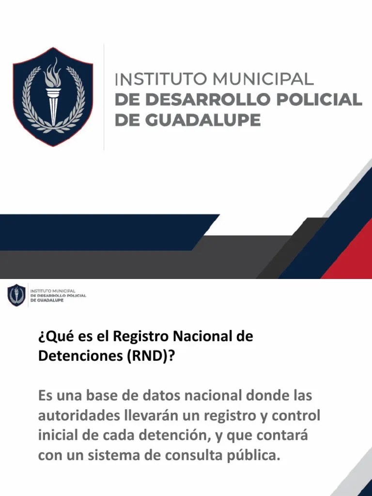 Registro Nacional De Detenciones | PDF | Tortura | Policía