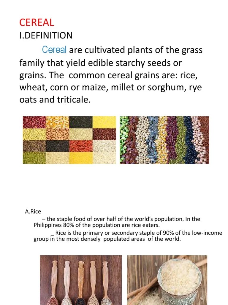 Cereals | PDF | Wheat | Cereals