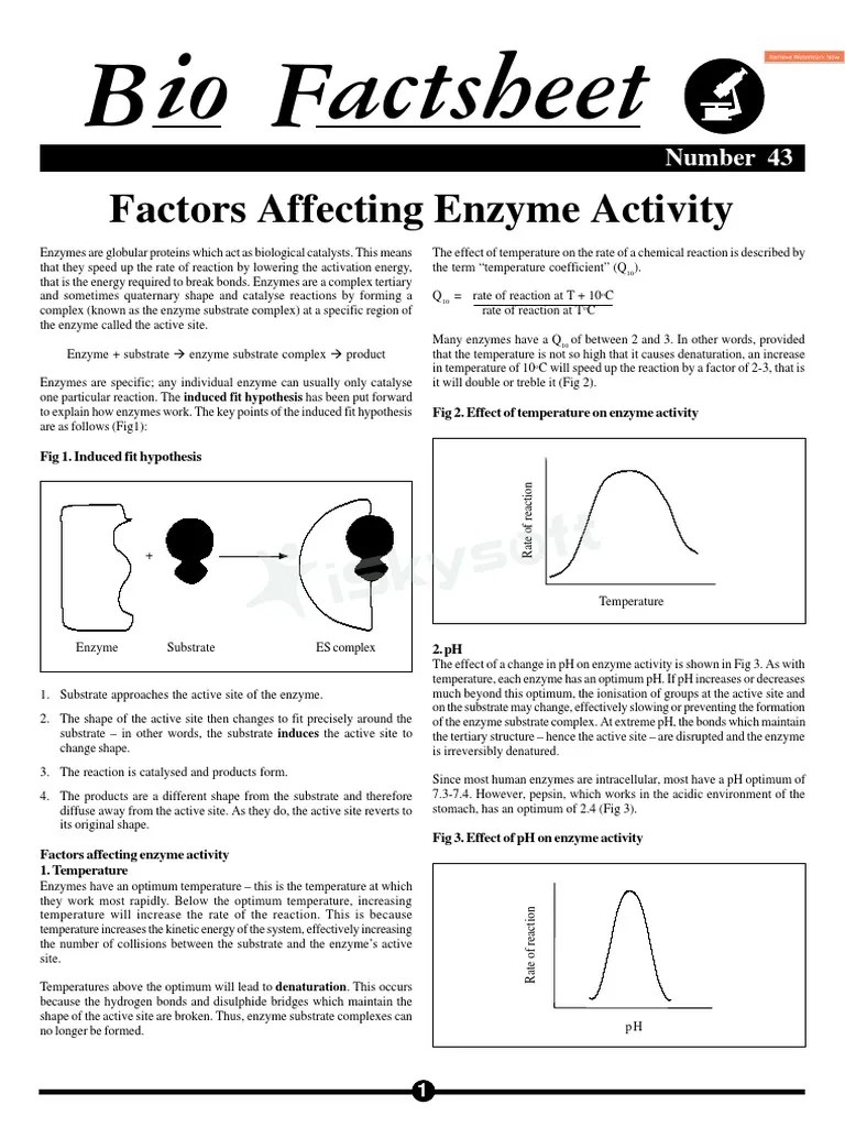Factors Affecting Enzyme Activity | PDF | Active Site | Enzyme