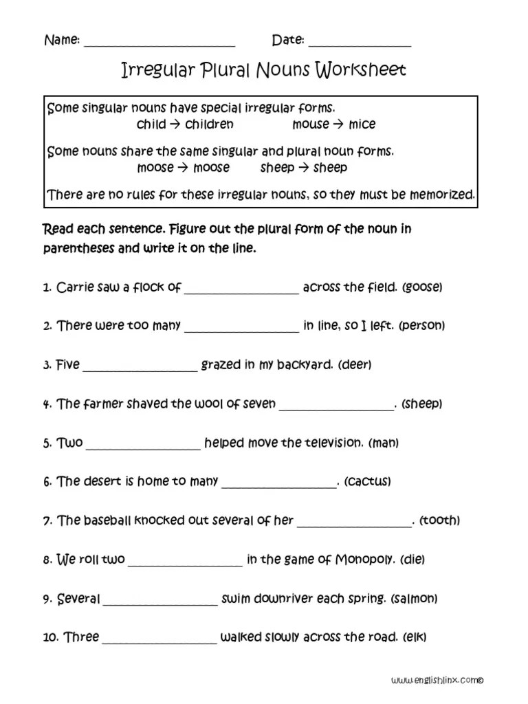 Free printable plural nouns worksheets. Irregular Plural Nouns Worksheet Pdf