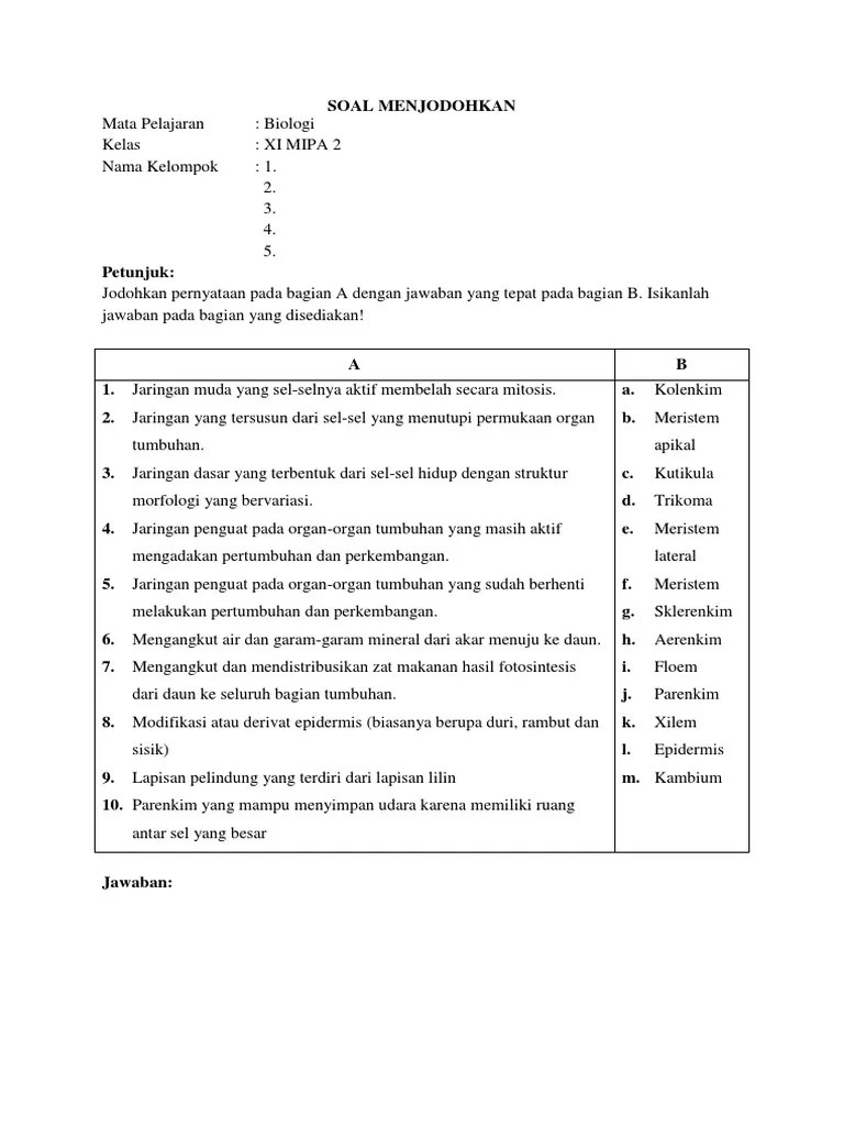 Bentuk atau struktur tumbuhan dapat berupa struktur luar (morfologi) . Soal Menjodohkan Pdf