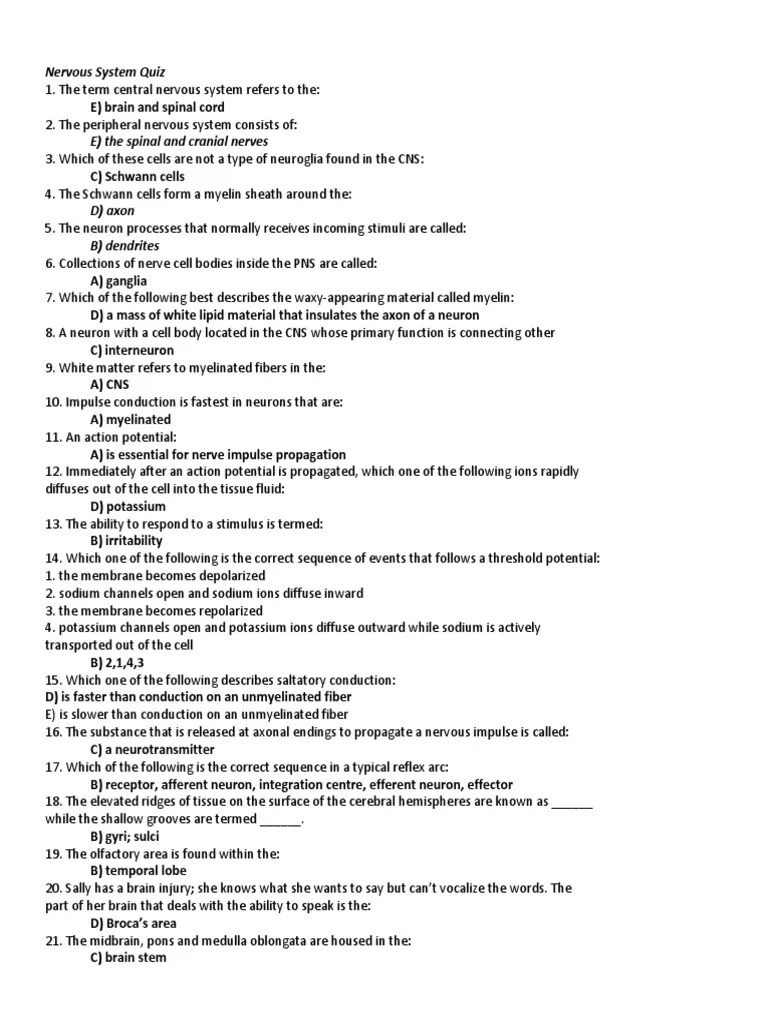 Nervous System Quiz | PDF | Myelin | Respiratory System