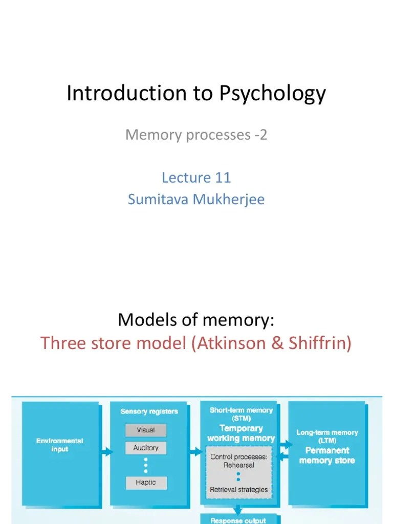 Introduction To Psychology: Memory Processes - 2 | PDF | Working Memory ...