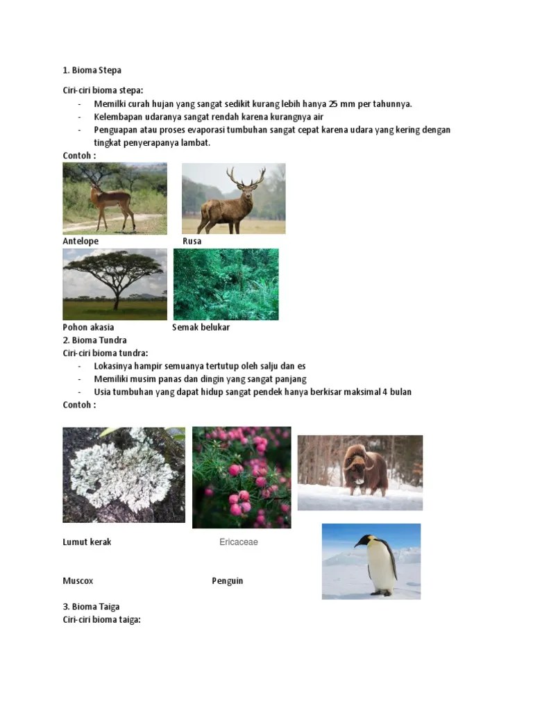 Bioma Di Dunia | PDF