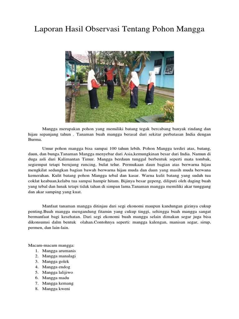 Contoh teks laporan hasil observasi buah manggis definisi umum buah manggis atau nama latinnya garcinia mangostana l. Teks Laporan Hasil Observasi Tentang Buah Mangga Seputar Laporan Info Wisata Hits