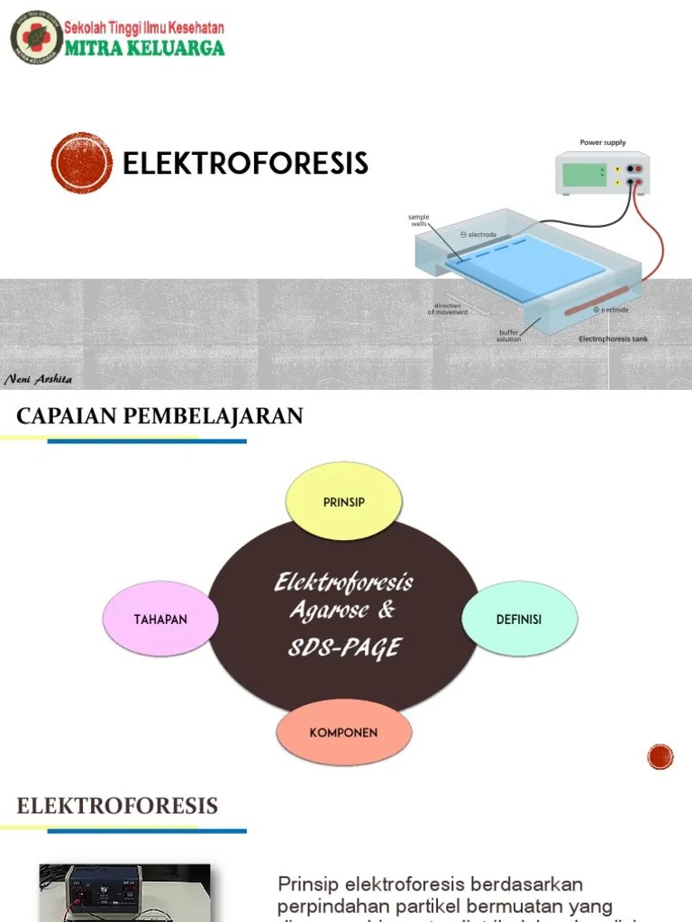Elektroforesis 2019 PDF | PDF