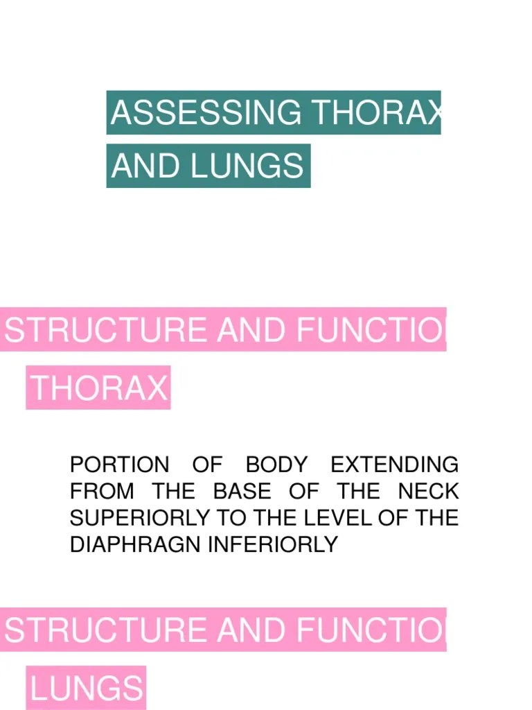 Assessing Thorax And Lungs | PDF | Thorax | Lung