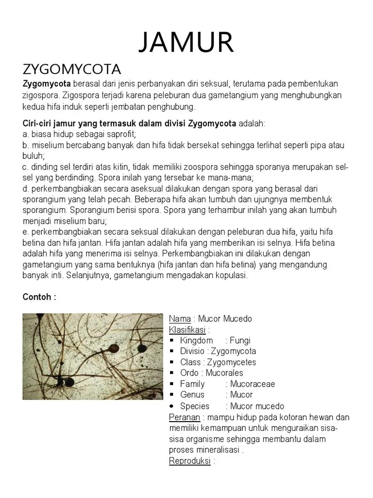 Namun, beberapa organisme ada yang bersifat parasit sehingga merugikan manusia. Biology 2 Pdf
