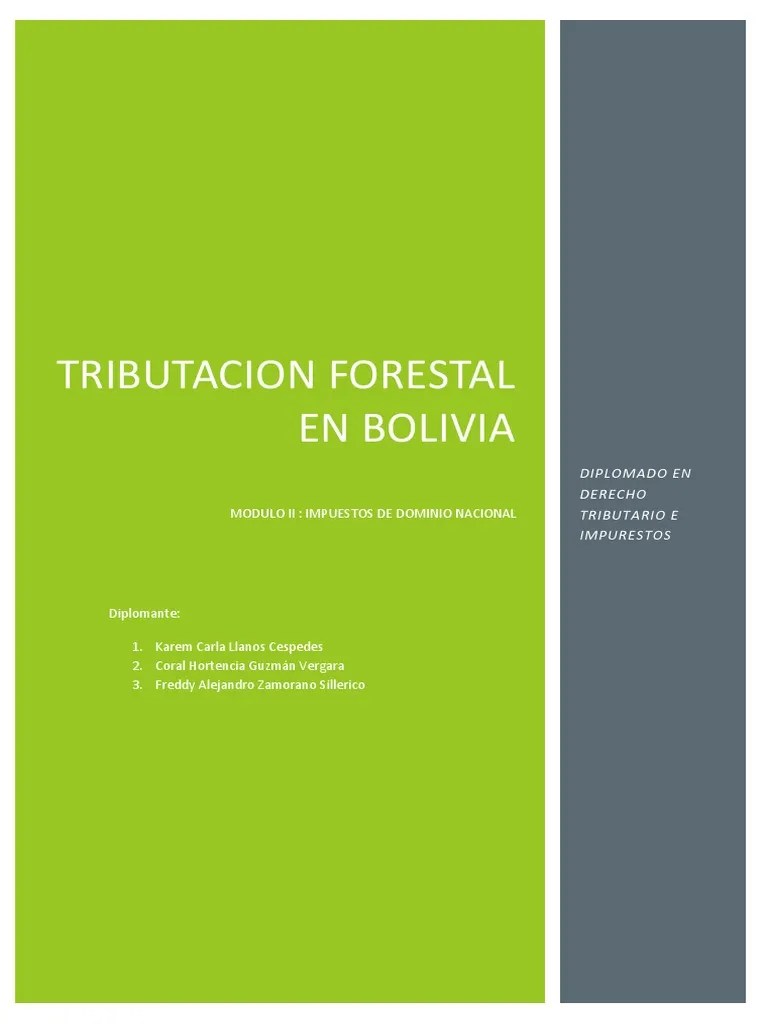 Forestal | PDF | Los Bosques | Patentar