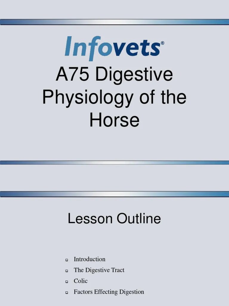 1-Equine Digestion PowerPoint | PDF | Human Digestive System | Gastrointestinal Tract