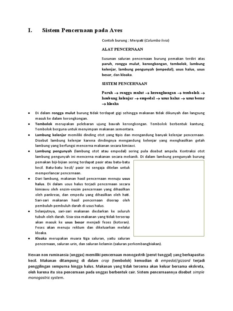 Sistem Perncernaan Hewan Mulai Dari Serangga Hingga Burung Semua Halaman Bobo Saluran pencernaan pada burung meliputi paruh tembolok lambung empedal usus kecil usus besar dan kloaka.